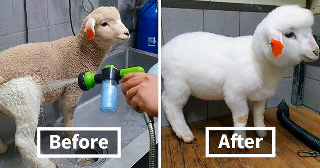 40 Times People Tried Cleaning Things And Results Turned Out Incredibly Satisfying