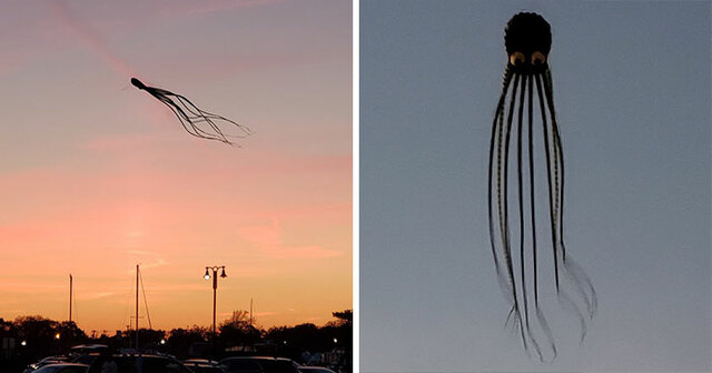 This Online Group Is Dedicated To Sharing The Most Amazing Things You Didn't Know You Wanted (30 Pics)