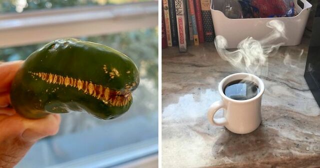 30 Times People Experienced Pareidolia And Just Had To Share It Online