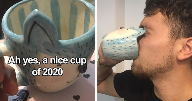 40 Memes That Perfectly Sum Up The Trainwreck That Is 2020