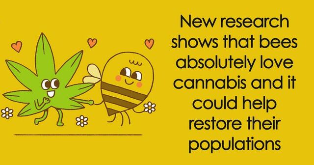 30 Best News Of 2020 Illustrated By Mauro Gatti