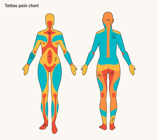 30 'Cool Guides' You Won't Find In Your School Textbooks