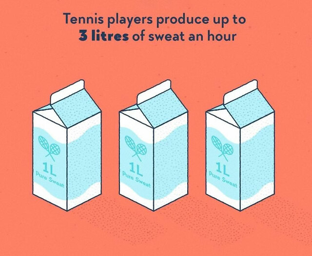 20 Fascinating Facts You Won't Find In Your Textbooks Illustrated By Factourism (New Pics)