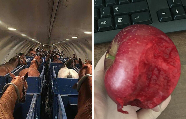 30 Photos Revealing The Rarely-Seen Side Of Things (New Pics)