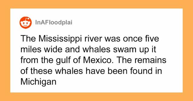 20 Interesting Facts You Won't Find In Your High School Textbooks Shared To This Online Group (New Pics)