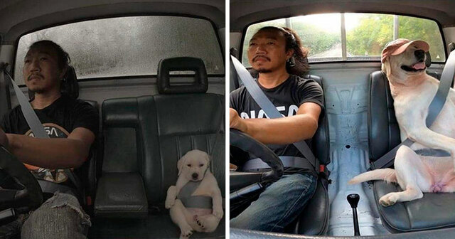 30 Uplifting Pics That Prove Not Everything Is As Bad As It May Seem (New Pics)