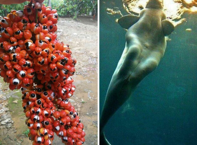 30 "Oddly Terrifying" Pics Shared In This Online Group