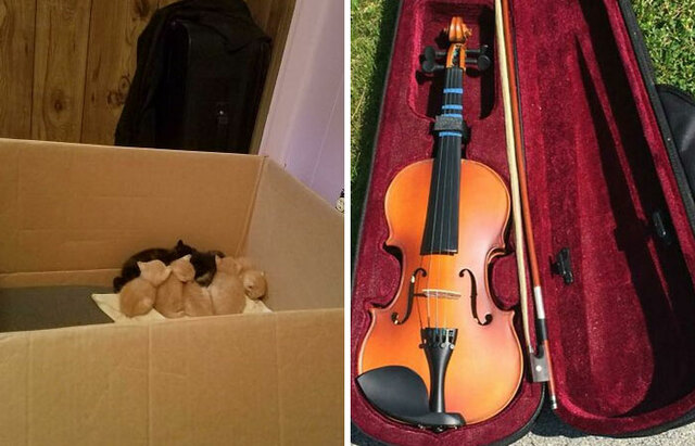 30 Of The Most Amazing Things That People Found In Dumpsters