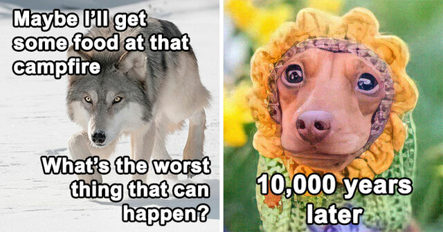 30 History Memes That Are More Fun That Any Textbook