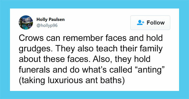 30 Answers This Father Received After Asking For Some Interesting Facts To Share With His Kids