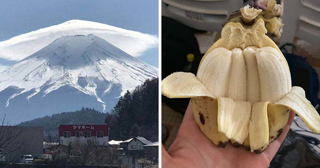 People Are Sharing The 'Mildly Interesting' Things They've Spotted In Nature (40 Pics)