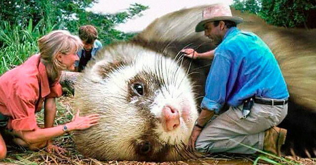 Someone Replaced The Dinosaurs In Jurassic Park With Ferrets, And It's The Remake You Didn't Know You Wanted