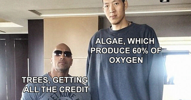 30 Hilarious Science Memes That Don't Require A PhD