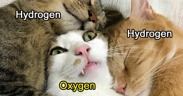 30 Of The Worst Science Jokes Shared By The ‘Bad Science Jokes’ Instagram Account