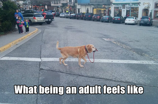 30 Adulting Memes That Get More And More Relatable As You Grow Older