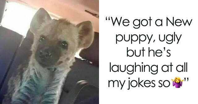People Are Sharing Innocent Posts That Took Unexpected Turns, And It's Hilarious (30 Pics)