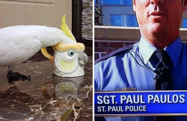 30 Times Things Were Doubled And People Couldn't Resist Capturing A Picture