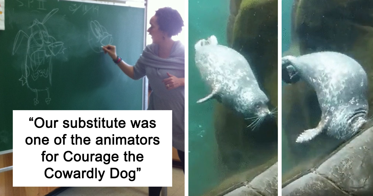 30 Times Online Community "Blessed Images" Shared Heartwarming And Wholesome Pics