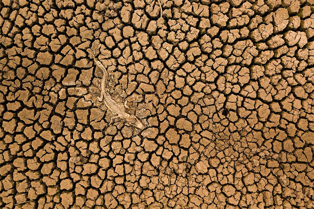 15 Stunning Winners From The Nature Conservancy Photo Contest 2021 That Have Just Been Announced