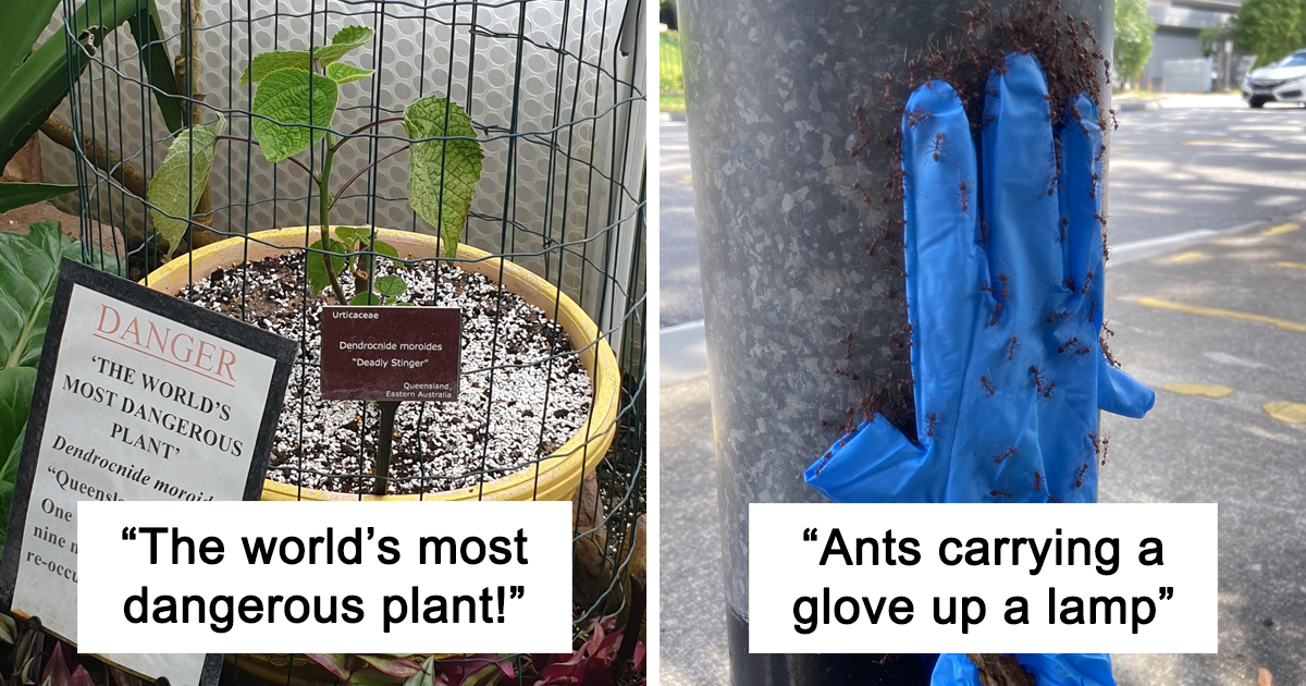 People In This Online Group Are Sharing Mildly Interesting Things Spotted In Nature (30 New Pics)
