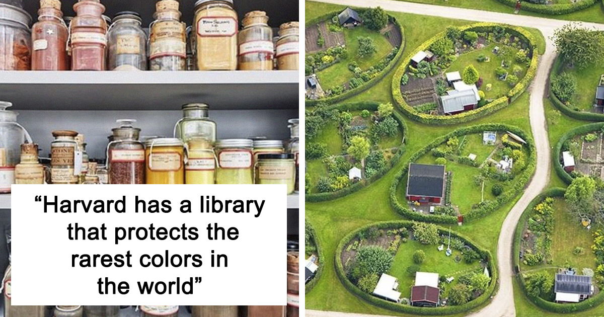30 Times Instagram Page "Yup That Exists" Shared Fascinating Things You Probably Had No Idea Existed