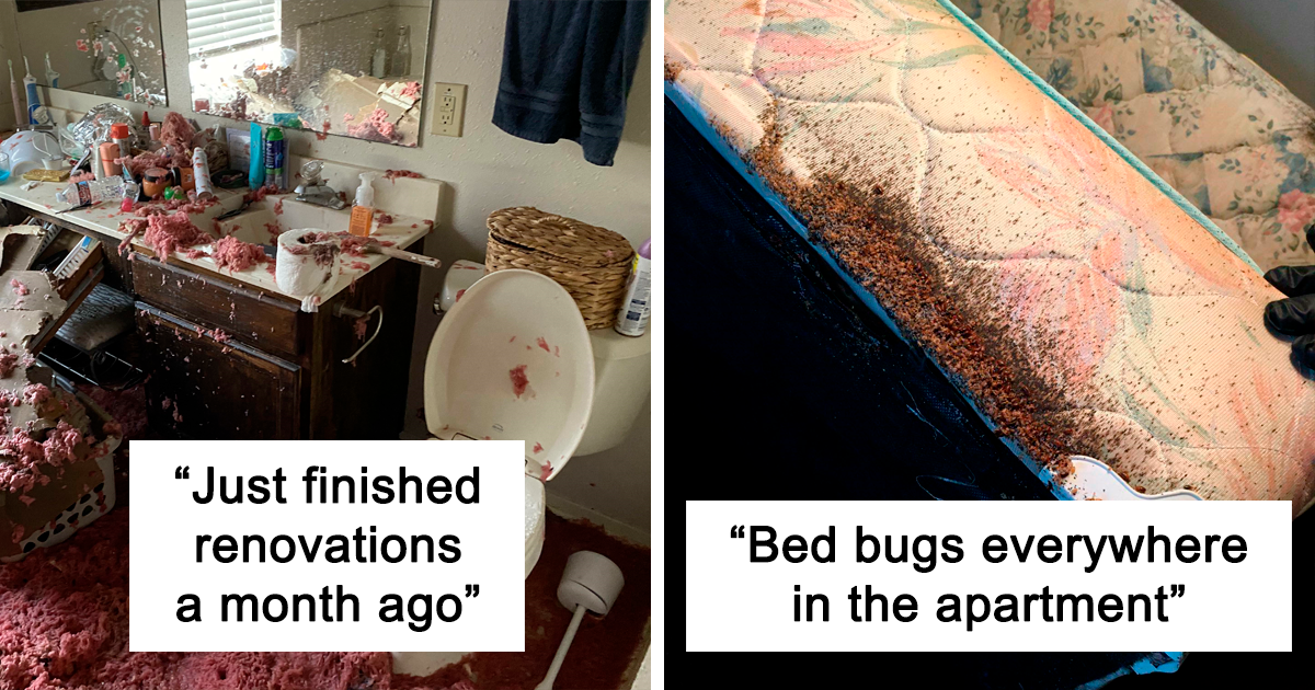 20 Times People Discovered Details About Their Homes That Made Them Say "Well, That Sucks"