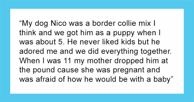 20 Pets Who Stunned Their Owners By Their Extraordinary Intelligence