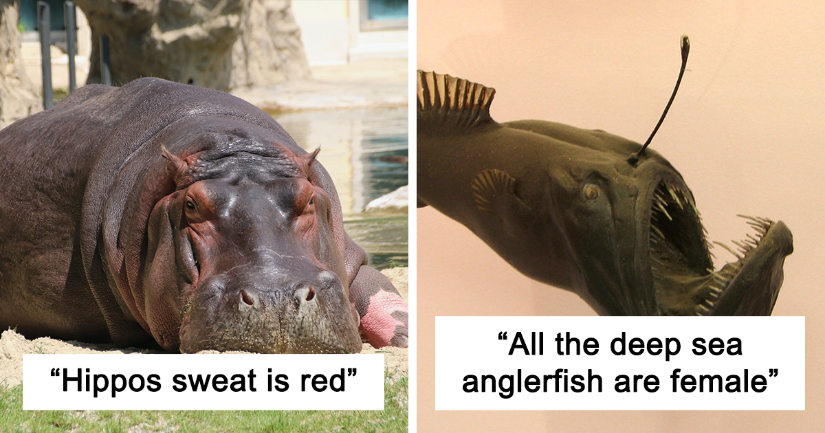 20 Times People Online Shared Interesting Rarely-Known Animal Facts