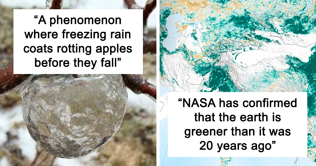 “Fact Point”: This Twitter Account Shares Interesting Facts About Our World (20 Pics)
