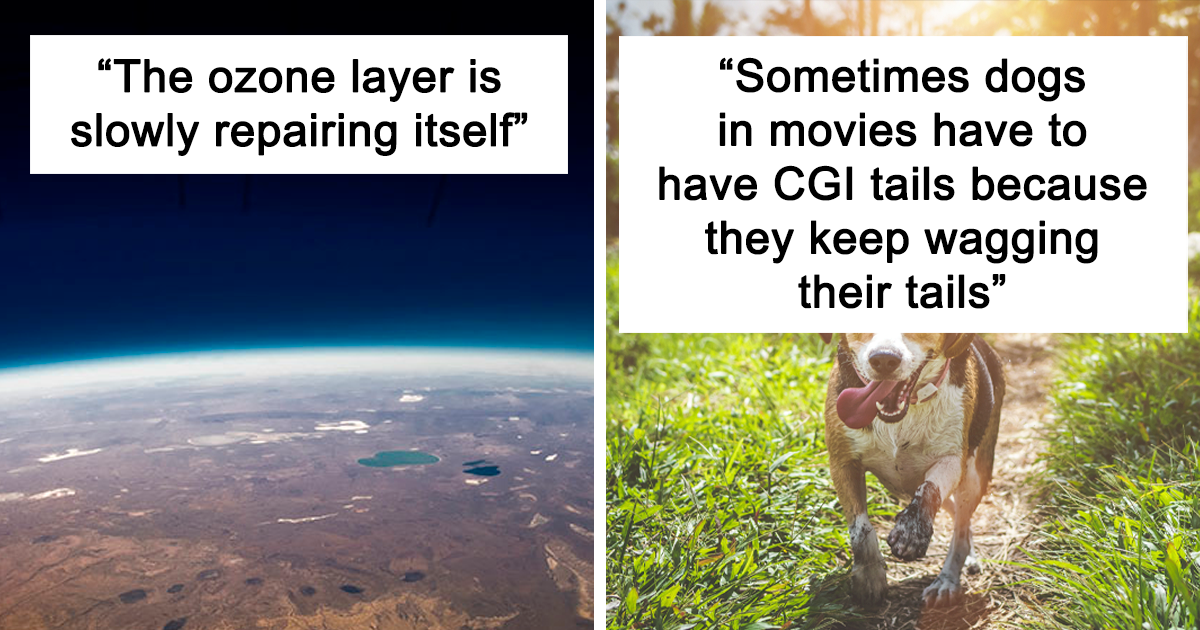 20 Facts That Might Provide You Some Comfort, As Shared By People In This Online Group