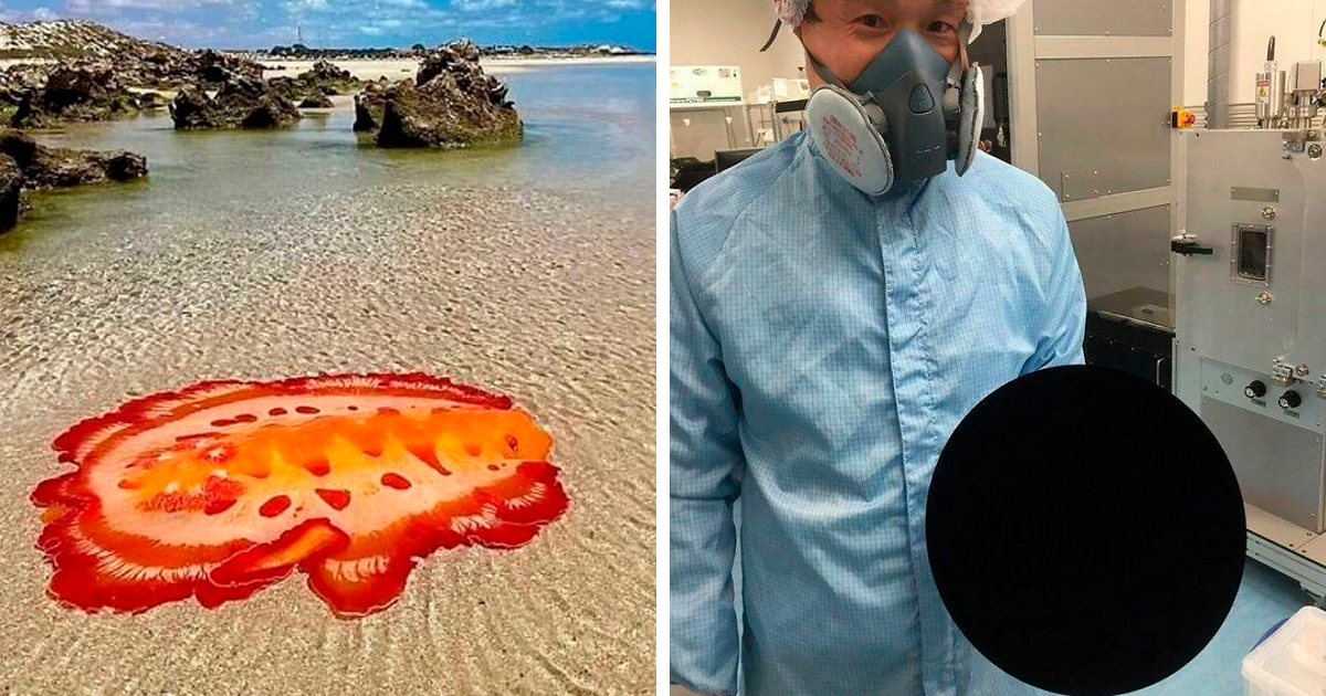 20 Things That Might Seem Interesting But Creepy, As Shared In This Online Community
