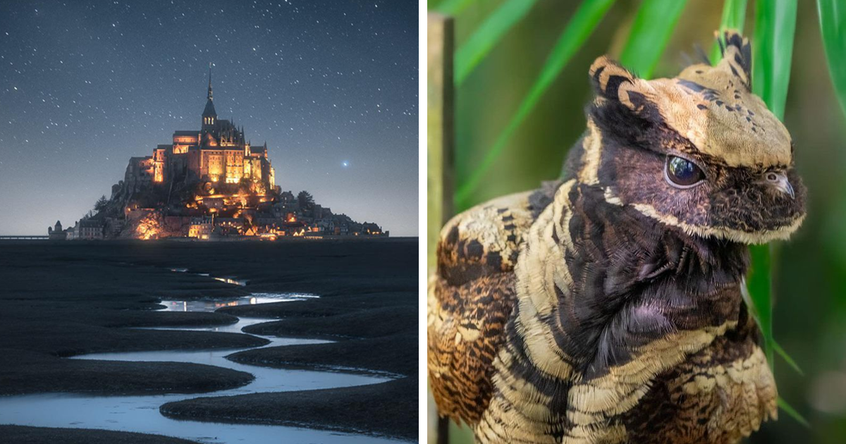 20 Photos Of That Might Take You To A Fairytale, As Shared By This Online Group