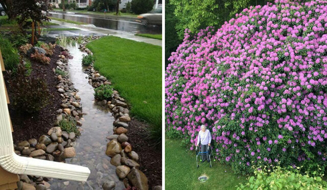 30 Incredible Photos As Shared By 'Interesting Gardening' Online Group