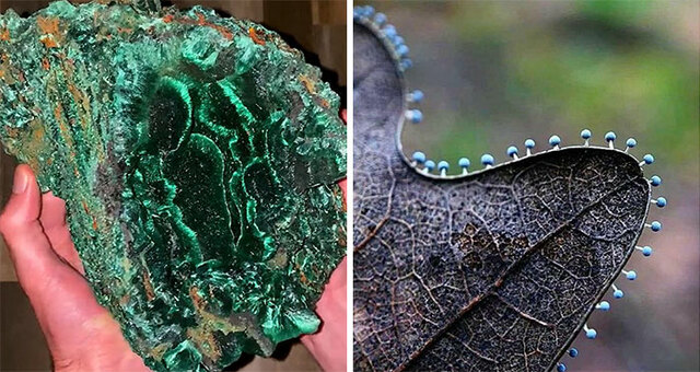30 Times Nature Was Captured In Its Full Glory And Magnificence