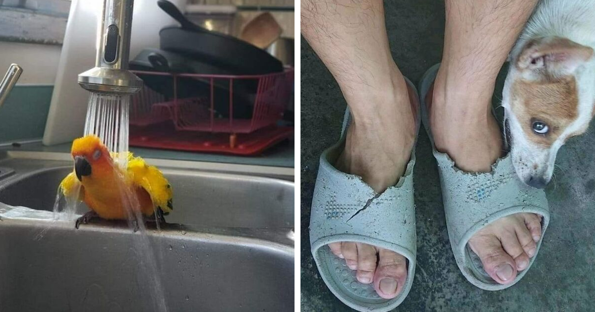 30 Of The Most Adorable ‘Blessed Images’ To Heal Your Soul