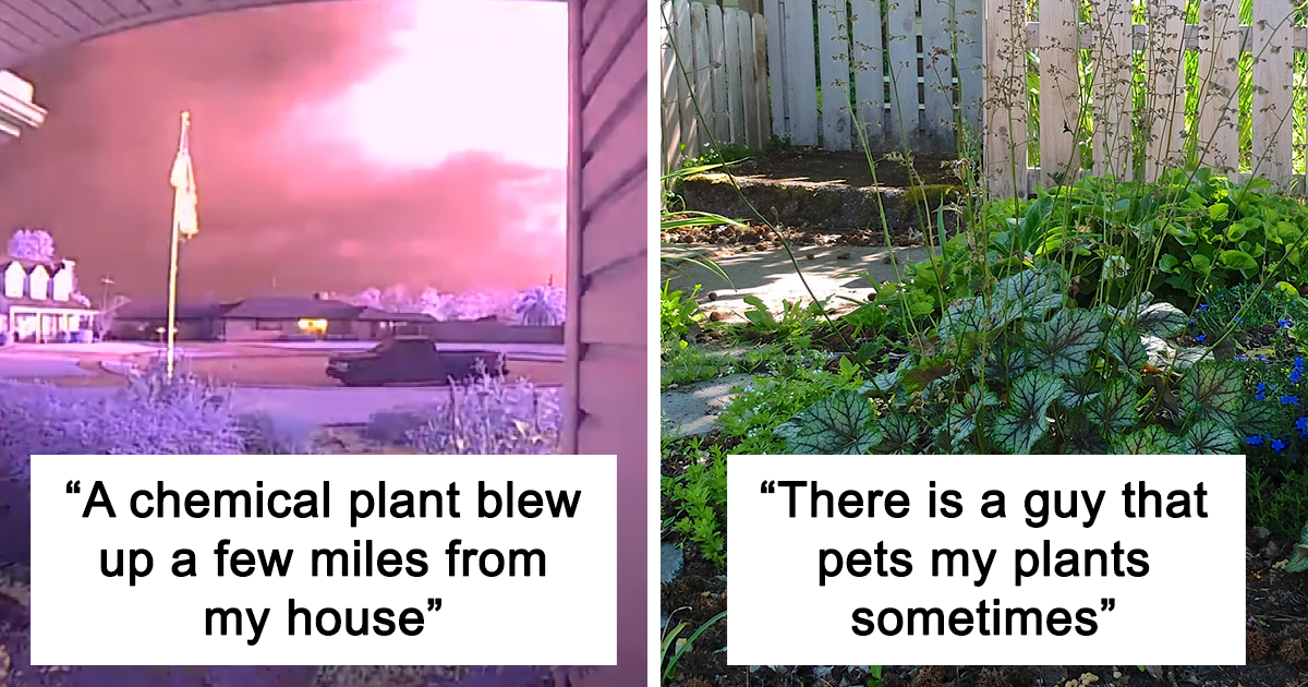 20 Spine-Chilling Things That People Caught On Doorbell Cameras