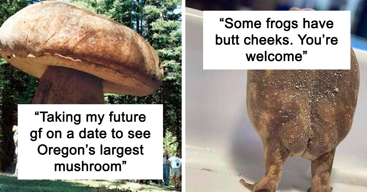 30 Of The Most Amazing Pics Shared By “Heck This Is Wholesome” Facebook Page