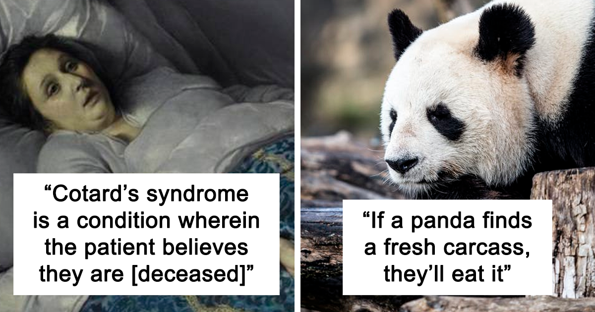 20 Scary Facts That Are Not For The Faint-Hearted, As Shared in This Online Group (New Pics)