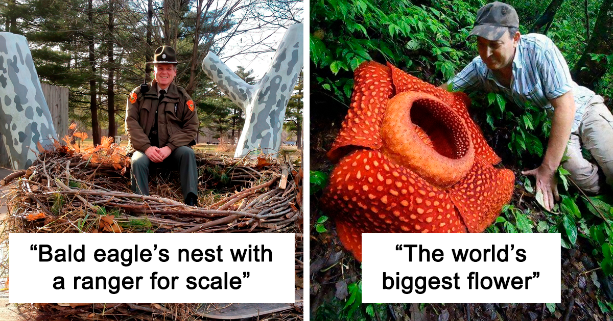 30 Times People Spotted Miraculously Amazing Things In Nature, As Shared By This Facebook Page
