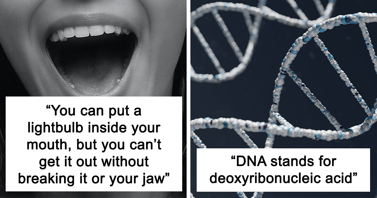 20 Times People Online Shared Worthless Facts That Are Stuck In Their Head