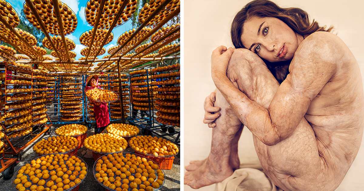 Best of 2021: Budapest International Foto Awards Have Announced Their Winners (20 Pics)