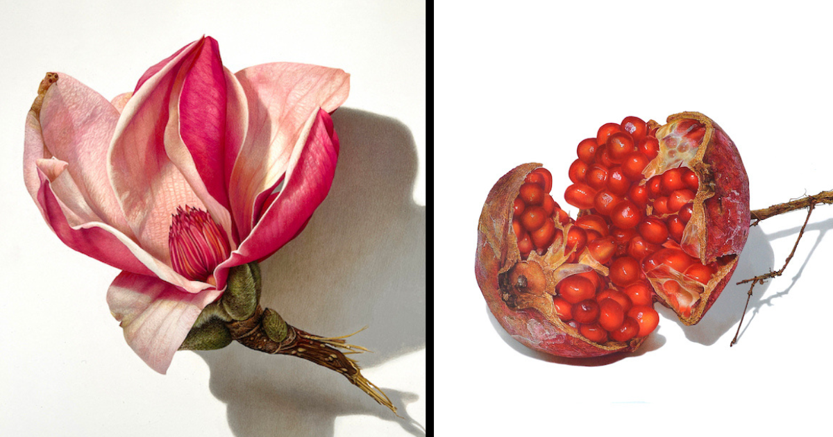 Artist Creates Amazing Hyperrealistic Drawings To Portray The Beauty Of Organic Life (10 Pics)