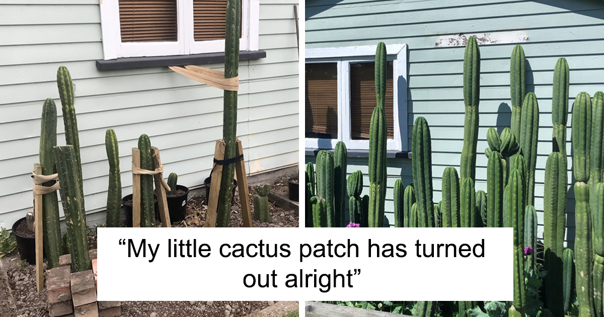 This Online Group Shares Interesting And Creative Gardening Pics, And Here Are 30 Of Their Best Posts