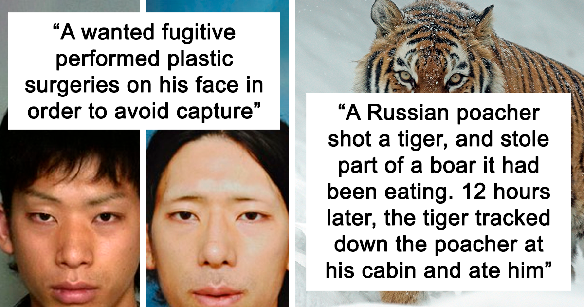 20 Random Fun Facts From "Today I Learned" Online Community (New Pics)
