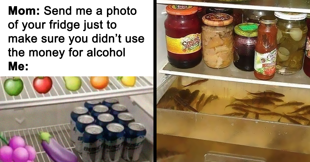 20 People Are Sharing Weird Fridge Interiors, And Here Are 20 Of The Most Hilarious Ones