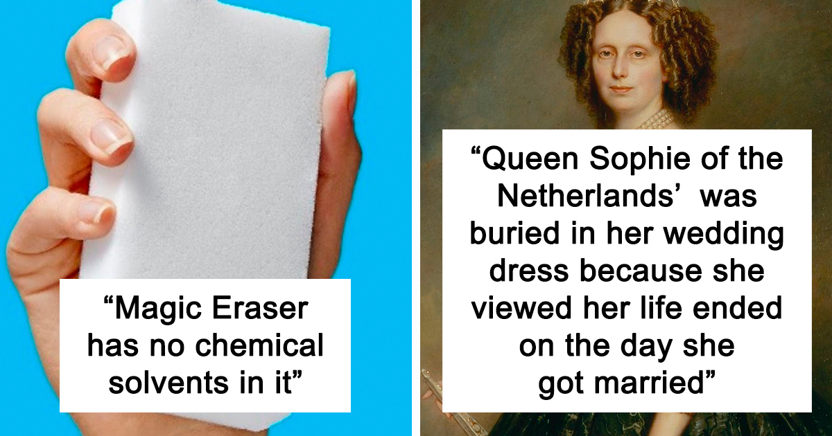 20 Facts Shared By The TIL Online Group That Might Teach You Something New Today (New Facts)