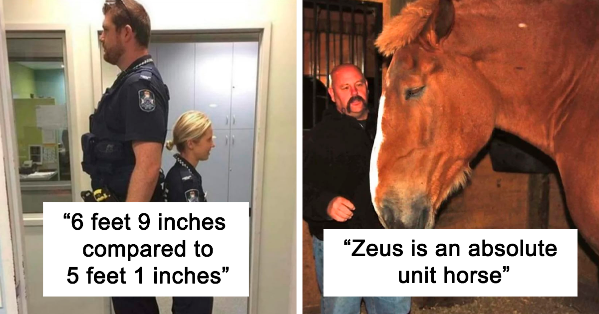 30 Times People Used “Human For Scale” To Show The Real Size Of Things, By This Online Community