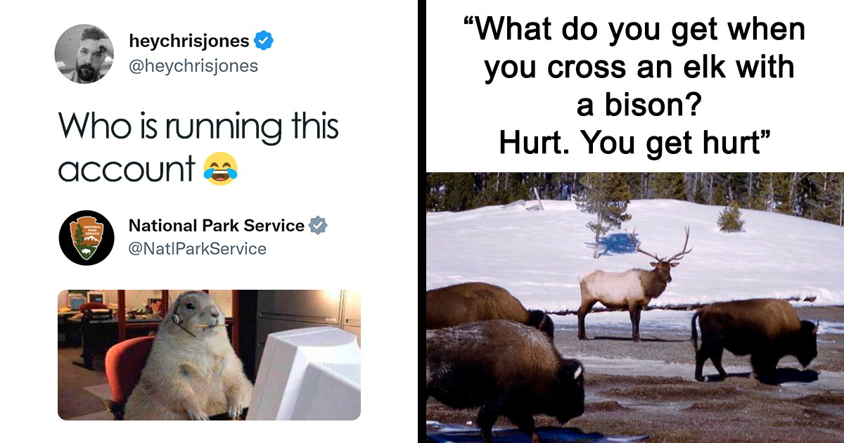 20 Hilarious Tweets From The Viral National Park Service Twitter Account