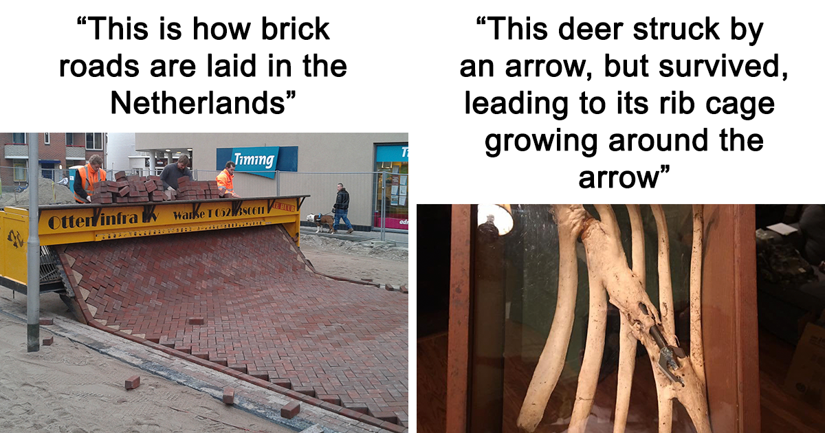 20 Little-Known Facts About Random Things Shared By This Instagram Page