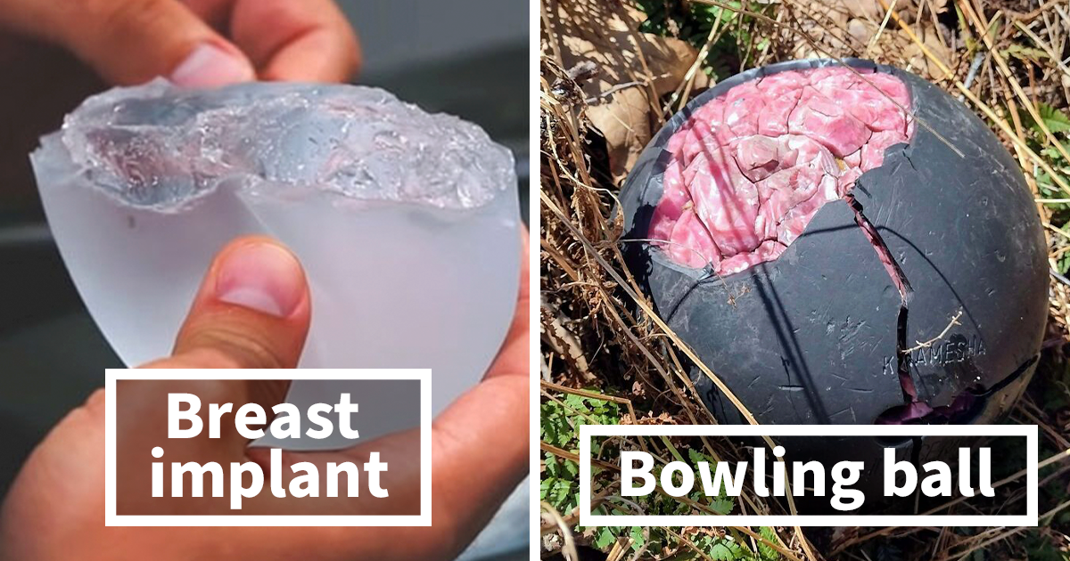 30 Times People Were Completely Surprised By The Inner Contents Of These Objects